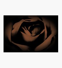 Dark Rose (duotone) Photographic Print
