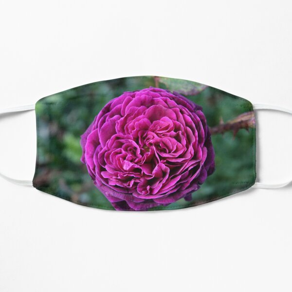 Ebb Tide Rose Mask
