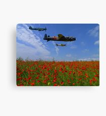 BBMF over the Poppy Field Canvas Print