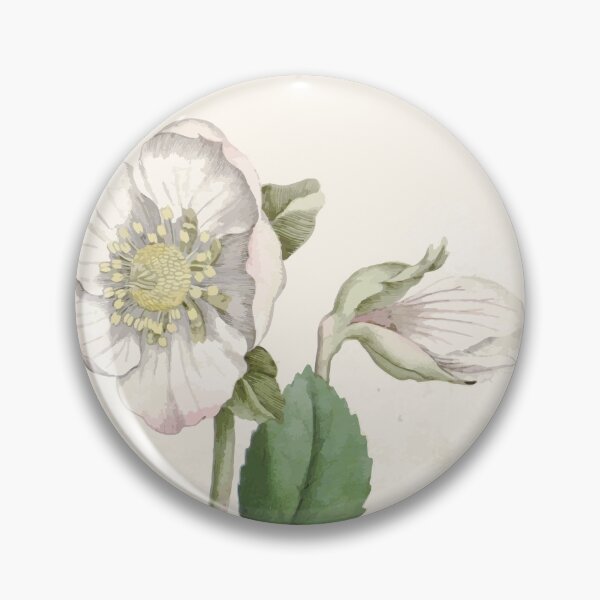 Item preview, The Botanical magazine, or, Flower garden displayed by William Curtis V1 V2 1787 1789 0021 Helleborus Niger, Black Hellbore or Christmas Rose designed and sold by wetdryvac.