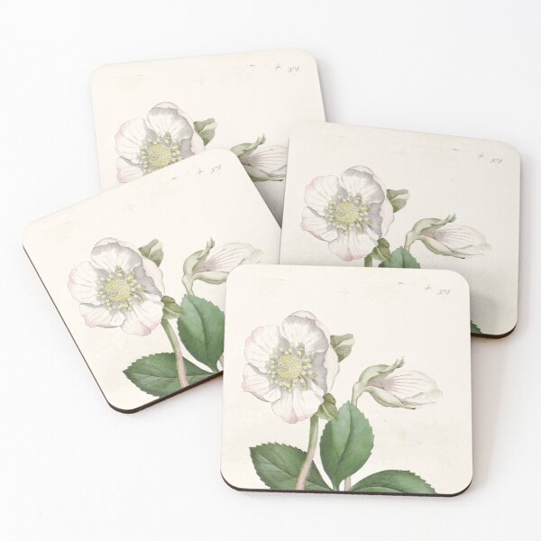 Item preview, The Botanical magazine, or, Flower garden displayed by William Curtis V1 V2 1787 1789 0021 Helleborus Niger, Black Hellbore or Christmas Rose designed and sold by wetdryvac.