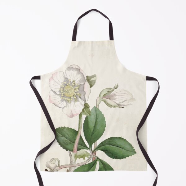 Item preview, The Botanical magazine, or, Flower garden displayed by William Curtis V1 V2 1787 1789 0021 Helleborus Niger, Black Hellbore or Christmas Rose designed and sold by wetdryvac.