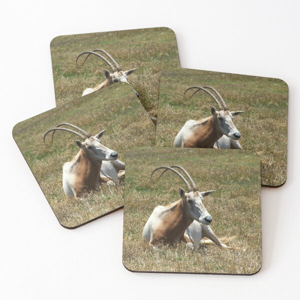 Item preview, Scimitar Horned Antelope designed and sold by GP1746.