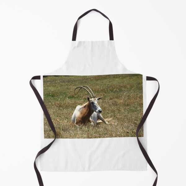 Item preview, Scimitar Horned Antelope designed and sold by GP1746.