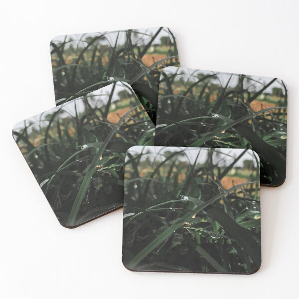 Item preview, Fresh Morning designed and sold by Vikas Sawant.