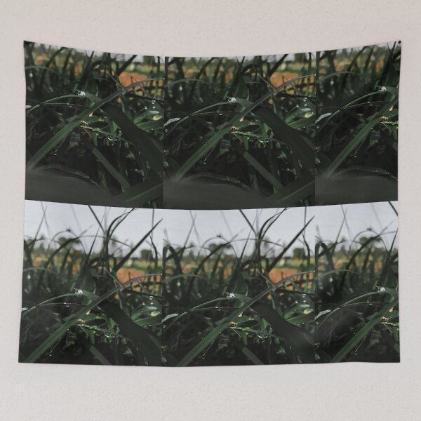 Item preview, Fresh Morning designed and sold by Vikas Sawant.