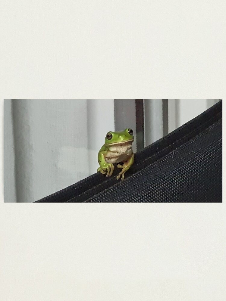 Alternate view of I love being Green Photographic Print