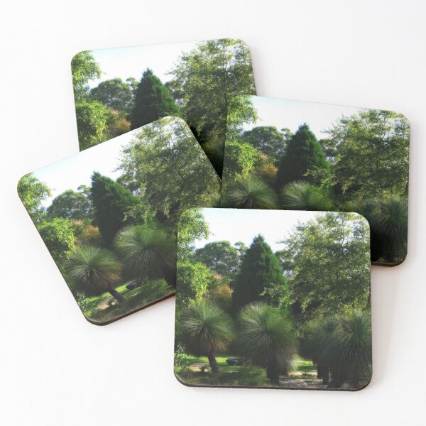 Item preview, Grass Trees - Blue Mountains Botanic Gardens designed and sold by Marilyn Harris.