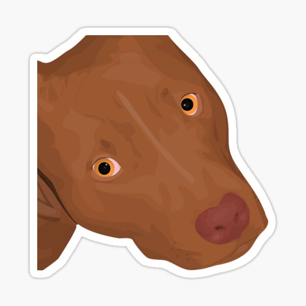 Item preview, Cute Red Nose Pitbull Portrait - Vector Art designed and sold by ibadishi.