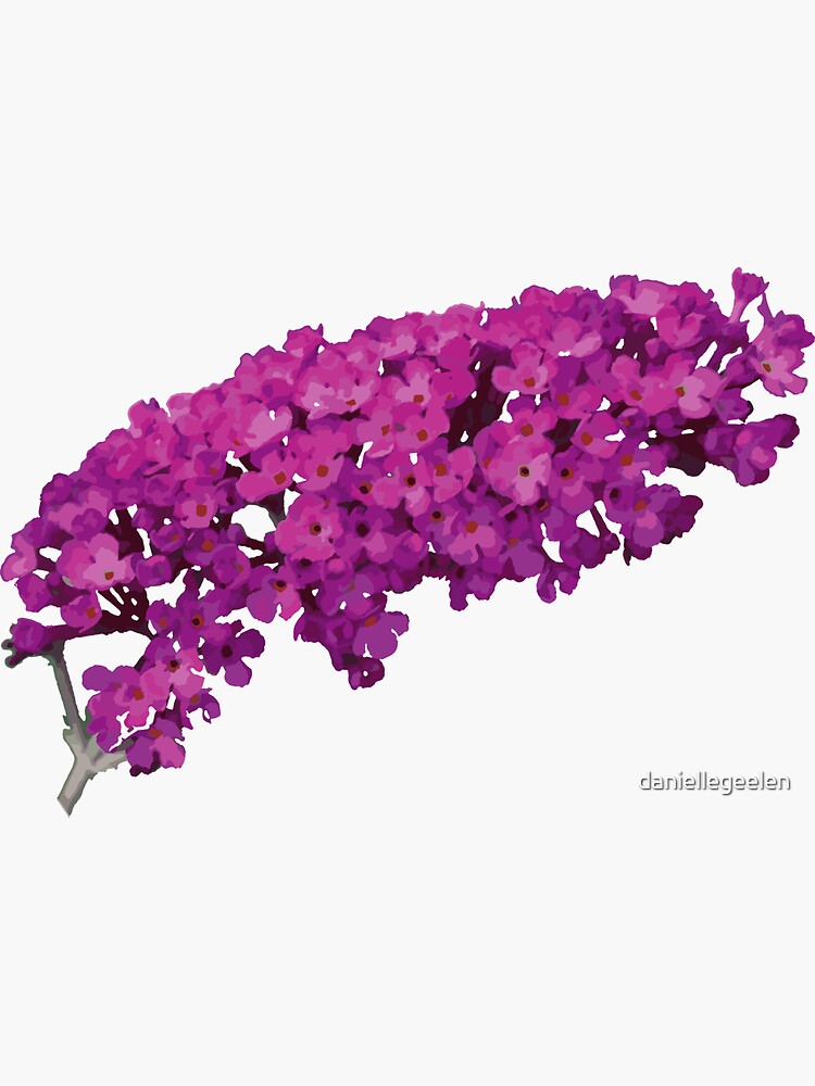 "butterfly bush art" Sticker for Sale by daniellegeelen Redbubble