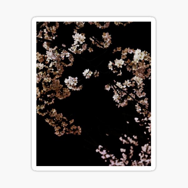 Cherry Blossom Tree Sticker