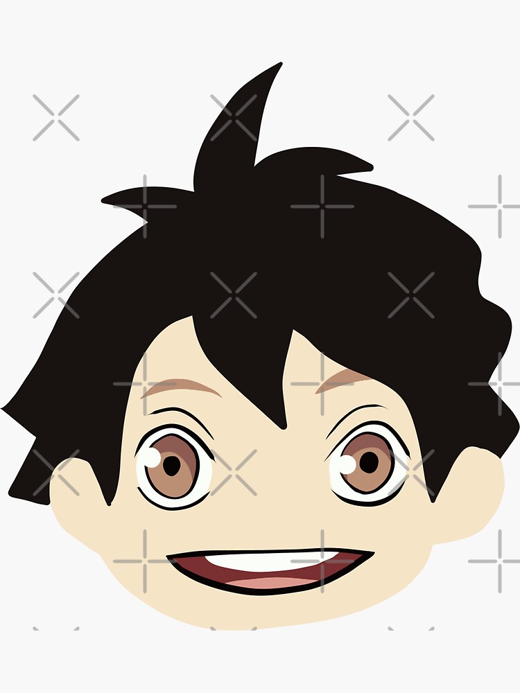 oikawa plush cursed