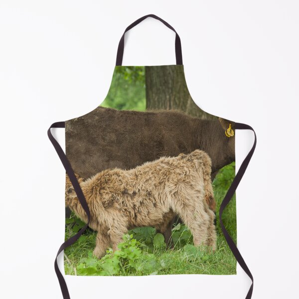 Item preview, Galloway calf drinking designed and sold by Photopat.