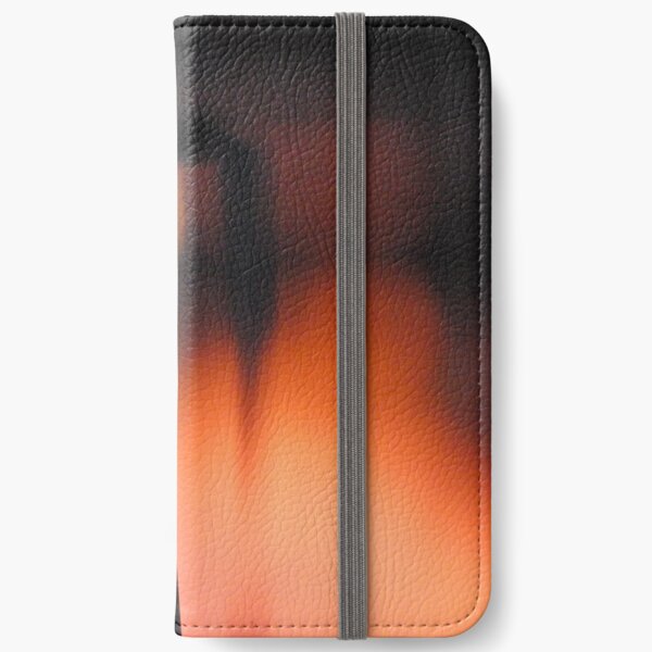 Evening Glare iPhone Wallet