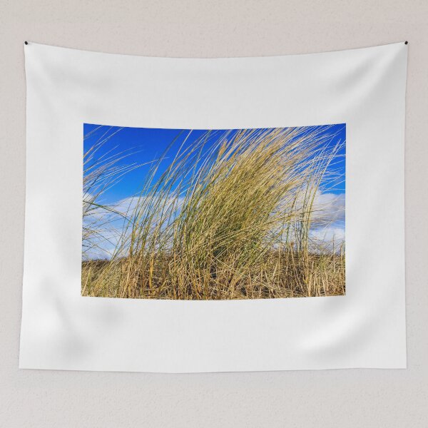 Item preview, Close up of grass on sand dune designed and sold by Jenny Burrows.