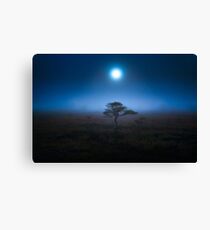 Moon is raised. Canvas Print