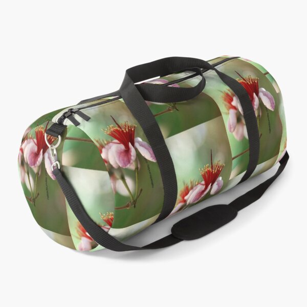 Item preview, Feijoa designed and sold by NakedSunday.