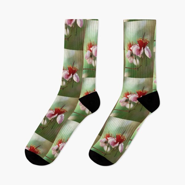 Item preview, Feijoa designed and sold by NakedSunday.
