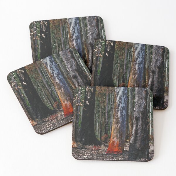 Item preview, Colours of Burnt Trees - Murramarang National Park, NSW. designed and sold by Marilyn Harris.