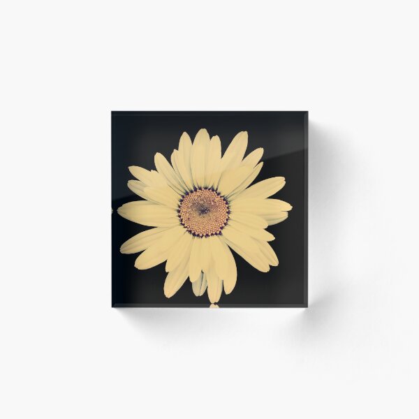 Half Crazy Daisy Acrylic Block