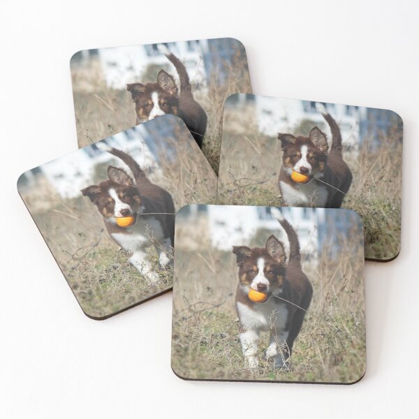 Item preview, Chocolate tricolor border collie puppy designed and sold by dedakota.