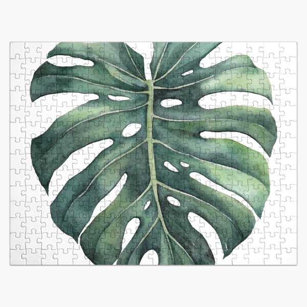 Artikel-Vorschau von Monstera deliciosa Blatt, designt und verkauft von Luli Reis.
