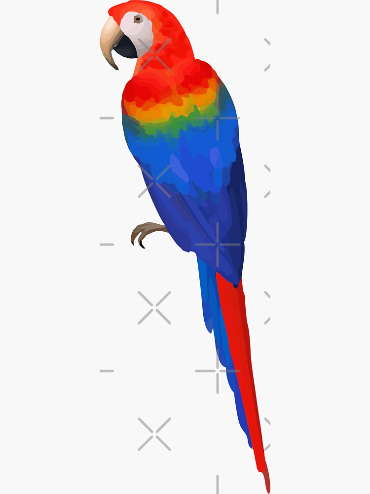 Parrot Sticker by stickysterscom