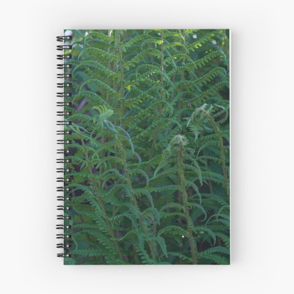 Item preview, Close up of green ferns in woodland designed and sold by Jenny Burrows.