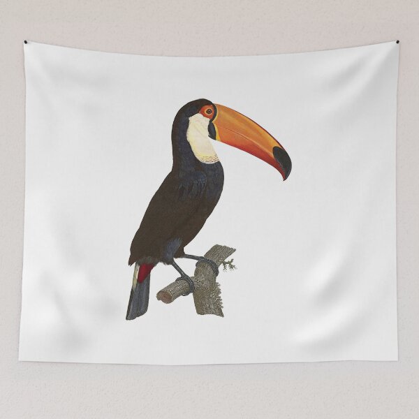 Item preview, Toco toucan designed and sold by Photopicture.