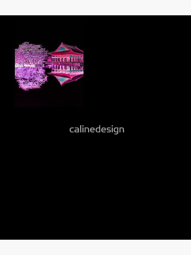 inverted palace by calinedesign