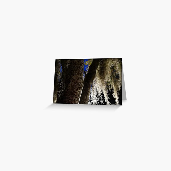 Spanish Moss Greeting Card