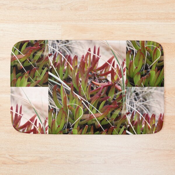 Item preview, Beach Succulent designed and sold by NakedSunday.