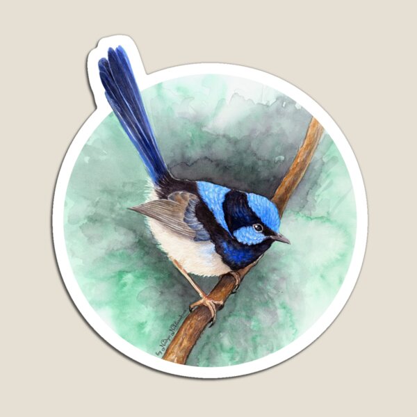 Item preview, Superb Blue Fairy-Wren by Nadya Neklioudova designed and sold by Nadya Neklioudova.