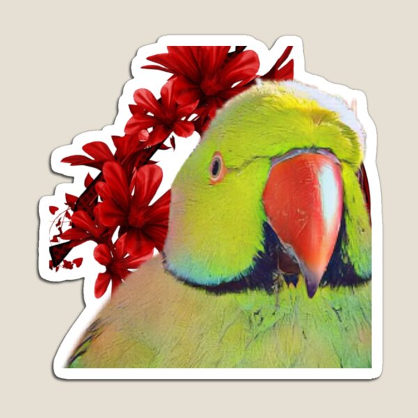 Item preview, Indian Ring neck parrot designed and sold by Praniket.