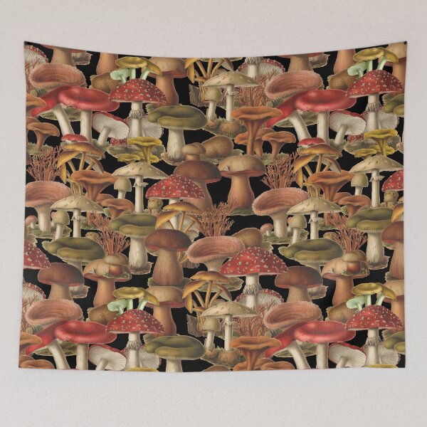 Item preview, Funghi designed and sold by Salocin.