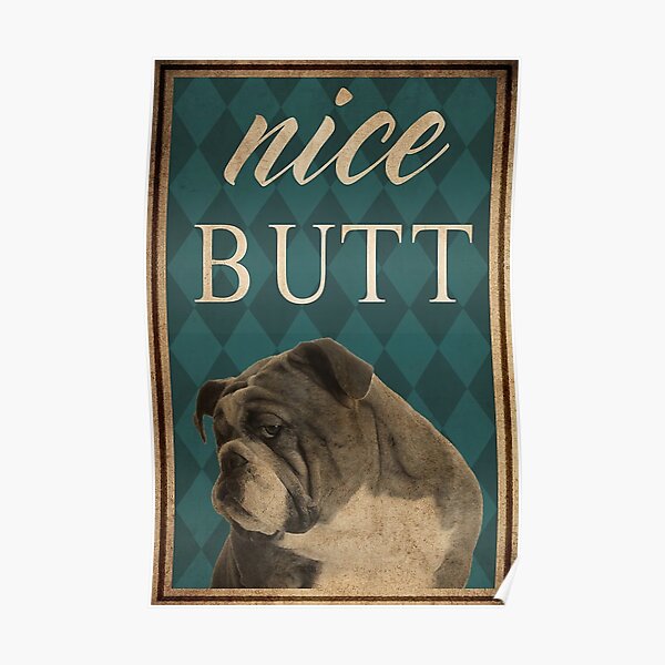 Dog Bull Nice Butt Poster