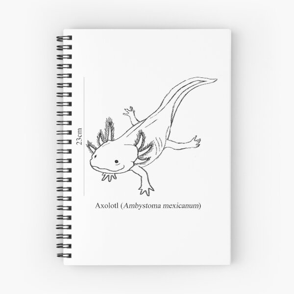 Item preview, axolotl designed and sold by tommulliner.
