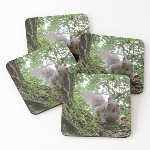 Item preview, A cheeky gray squirrel designed and sold by joshuarainbird.