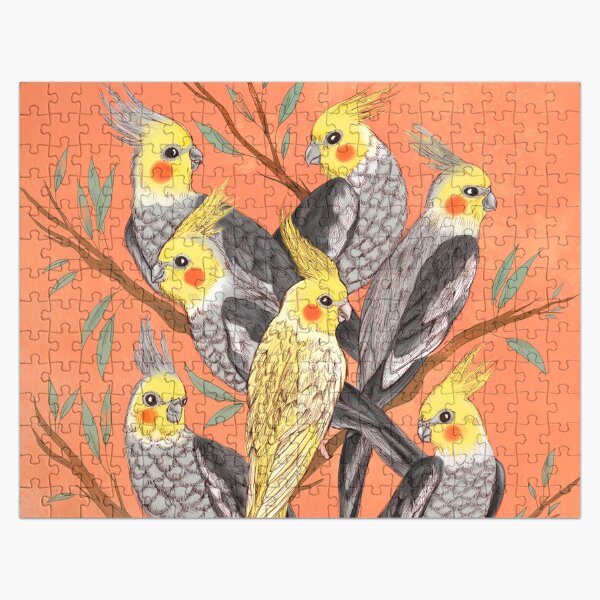 puzzles for cockatiels