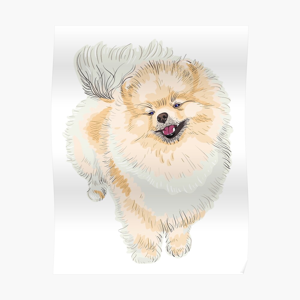 Pegatina Cara De Perro Pomerania Blanco De Alayneyoung Redbubble