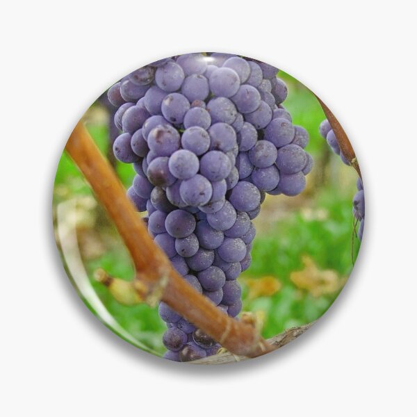 Item preview, Blue grapes designed and sold by Photopat.