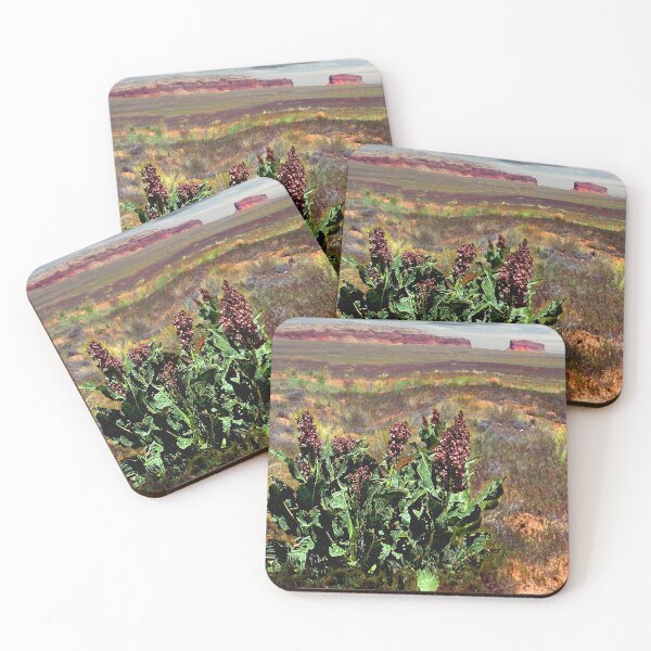 Item preview, Wild Rhubarb in a New Mexico Landscape designed and sold by Winthrop Brookhouse.