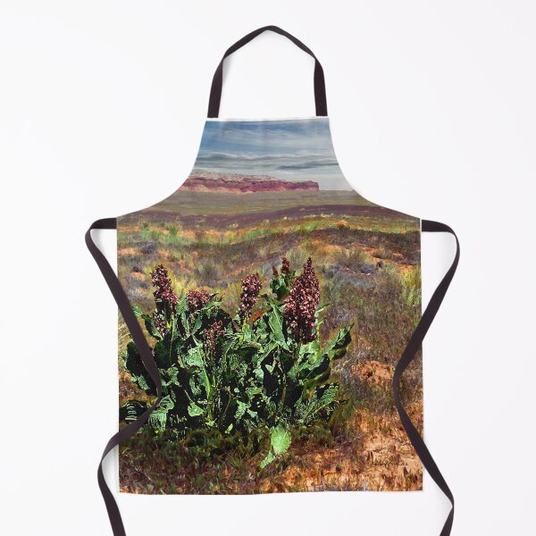 Item preview, Wild Rhubarb in a New Mexico Landscape designed and sold by Winthrop Brookhouse.
