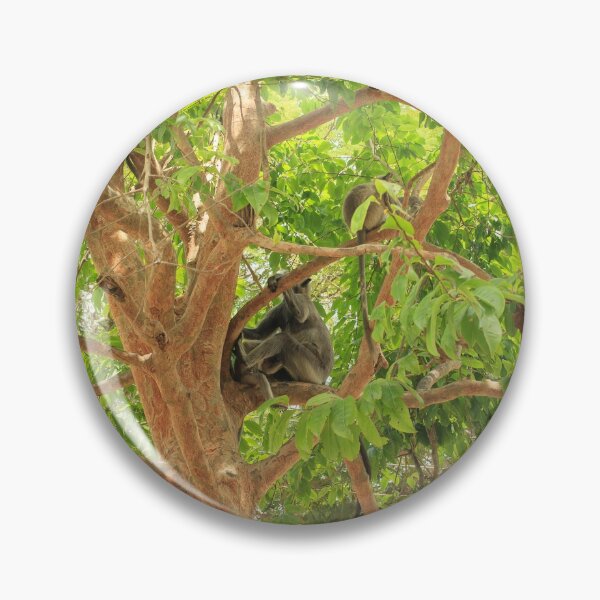 Item preview, Gray Langur monkeys in a tree designed and sold by Photopat.