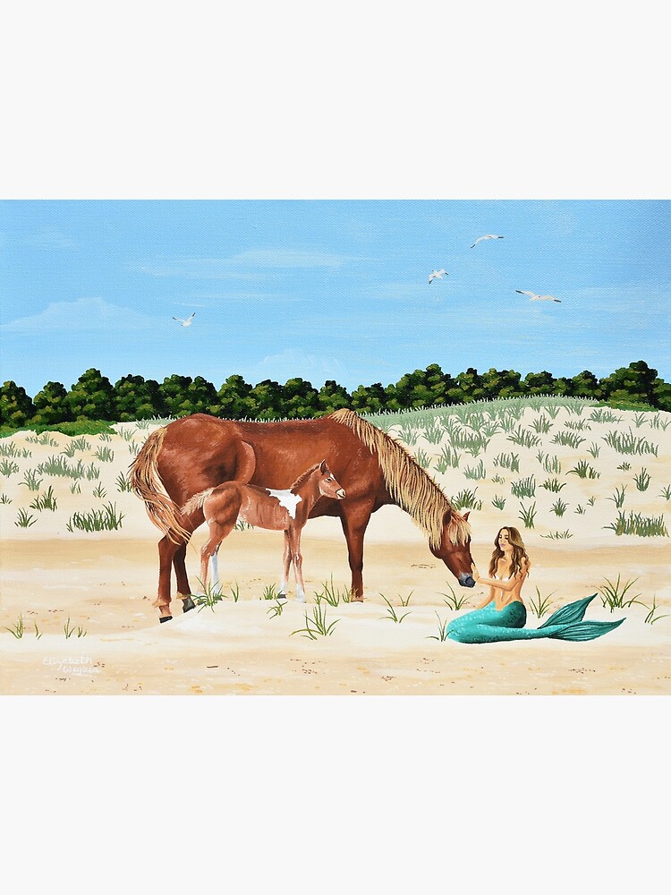 "Assateague Island" Poster for Sale by Eweglein Redbubble