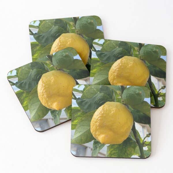 Item preview, Lemon designed and sold by BASIC-T.