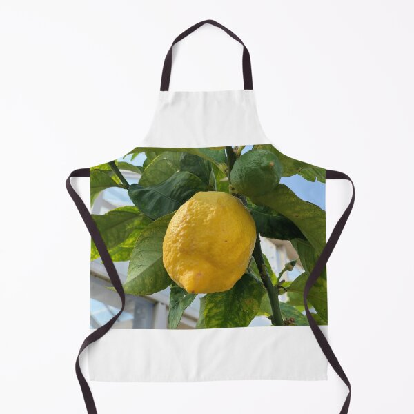 Item preview, Lemon designed and sold by BASIC-T.