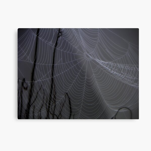 Woven magic Metal Print