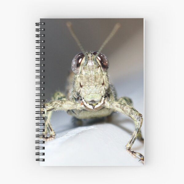 Item preview, Grasshopper Face designed and sold by mark-bugs-org.