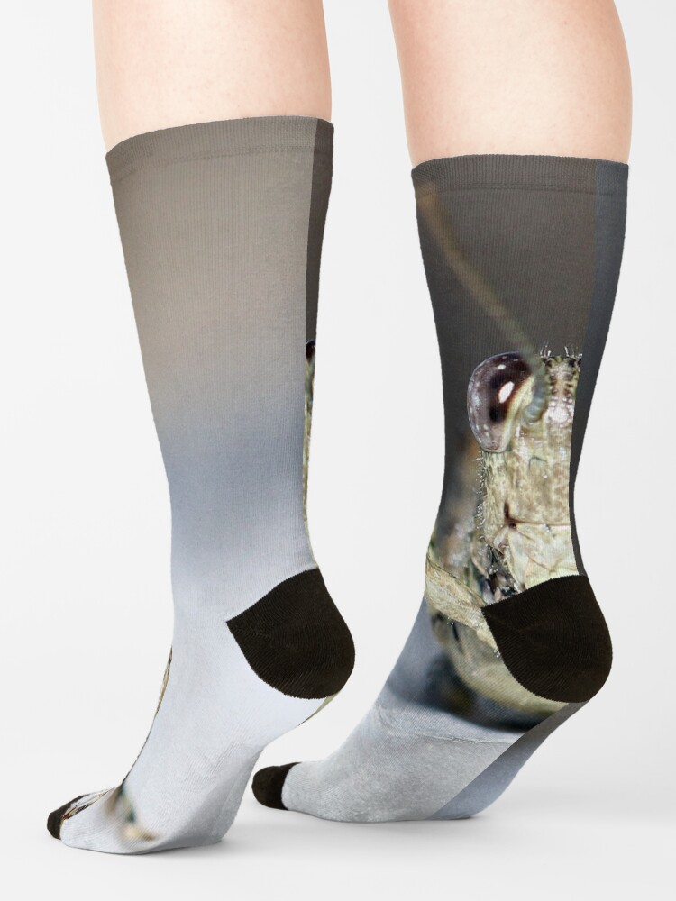 Alternate view of Grasshopper Face Socks